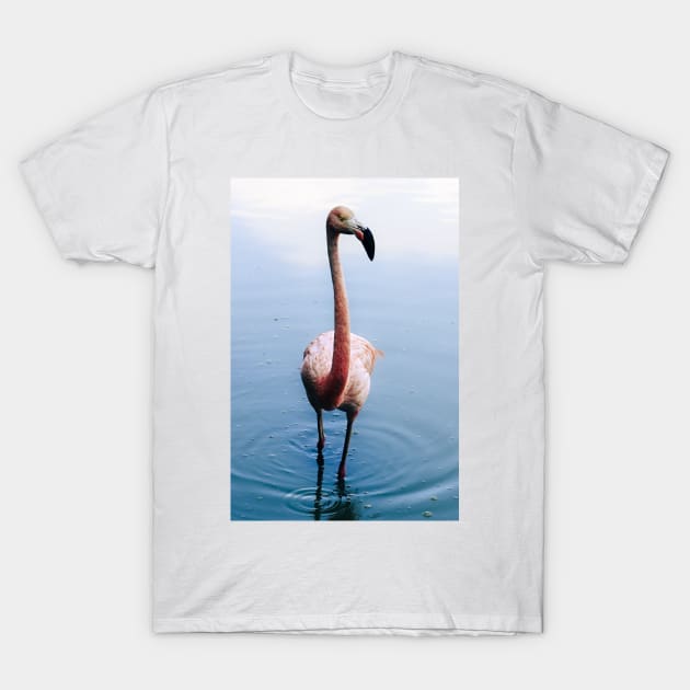 Flamingo T-Shirt by Kate-P-